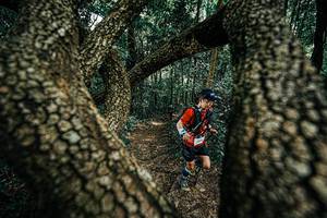 BIB: 
                            <button type="button" onclick="openModal(25392588)" class="btn btn-primary btn-sm float-right btn-popup" data-toggle="modal" data-target=".modal-high-quality">
                        <i class="fas fa-shopping-cart"></i> Add to Cart
                    </button>
                                            <button type="button" onclick="isThisMe(25392588, true)" class="btn btn-success btn-sm float-right btn-popup btn-isme hidden" data-toggle="tooltip" data-placement="bottom" title="นี่คือรูปของคุณใช่ไหม คลิกที่นี่เพื่อเอาเข้าอัลบั้ม">
                        <i class="fas fa-plus"></i> Add to album
                    </button>
                    <button type="button" onclick="isThisMe(25392588, false)" class="btn btn-warning btn-sm float-right btn-popup btn-isnotme hidden">
                        <i class="fas fa-ban"></i> Remove from album
                    </button>